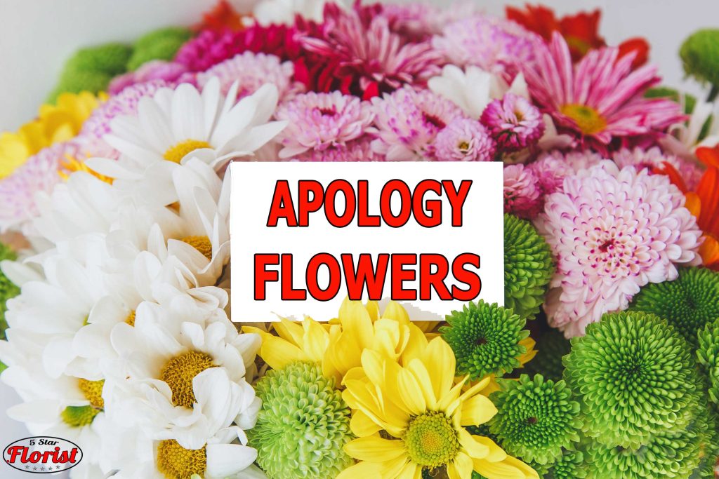 apology flowers Fayetteville