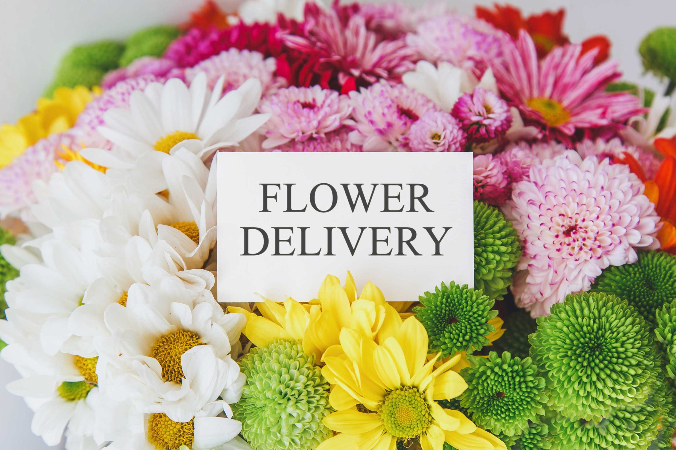 same-day-flower-delivery- Fayetteville